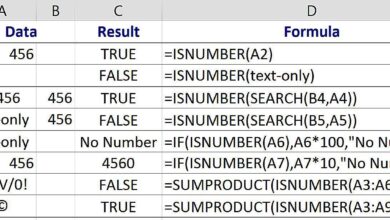 Fonction ISNUMBER d'Excel pour trouver les cellules avec des chiffres