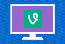 6 visionneuses de vigne que vous pourriez utiliser pour regarder des vidéos de vigne en ligne