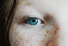 À propos de la persistance de la vision et de l'animation