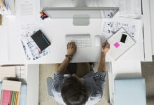 Comment apprendre la sculpture numérique en zébrure