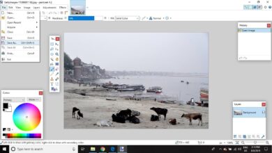Comment utiliser les niveaux de Paint.NET pour améliorer une photo