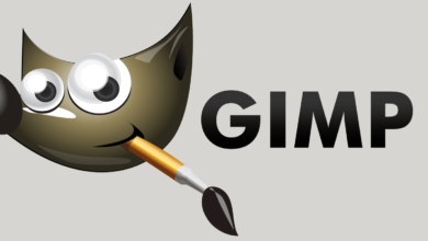 Enregistrer des images sous forme de GIF dans GIMP
