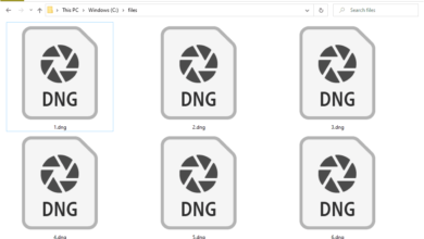 Fichier DNG (Qu'est-ce que c'est et comment en ouvrir un)