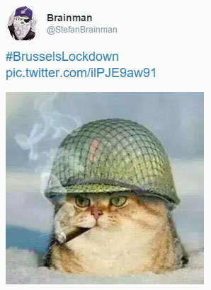 #BrusselsLockdown cat tweet