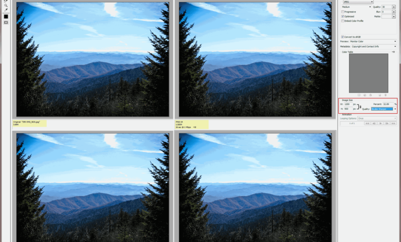 Lignes directrices concernant la taille des photos à partager en ligne