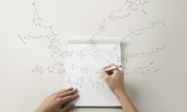 Modèles et lignes directrices pour les mots Elsevier