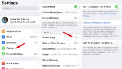 Appel Wi-Fi sur iOS 12