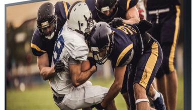 Samsung The Terrace TV