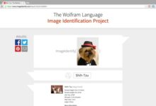 Capture d'écran du Wolfram Alpha Image Identification Project