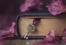 Comment ajouter des signets de safari sur l'iPad