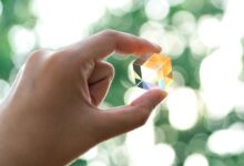 Comment rendre une image transparente dans un éditeur d'images