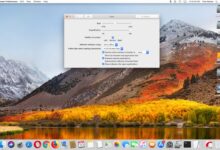 Personnalisez le dock de votre Mac avec le volet des préférences