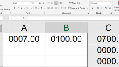 Comment forcer Microsoft Excel à afficher les zéros non significatifs