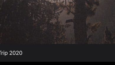 Comment ajouter des légendes aux photos et vidéos sur iOS