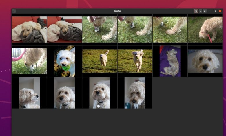 Comment organiser et partager vos photos avec Gnome Photos