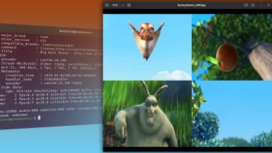Comment créer des feuilles de vignettes pour vos vidéos sous Linux