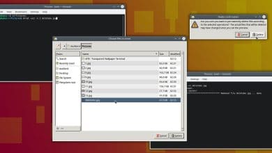 Comment supprimer complètement un fichier sous Linux