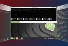 Comment effectuer plusieurs tâches dans le terminal Linux avec écran