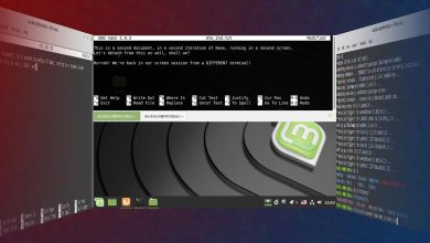 Comment effectuer plusieurs tâches dans le terminal Linux avec écran
