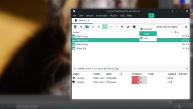 Comment ouvrir facilement plusieurs fichiers avec SpaceFM sous Linux
