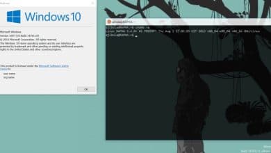 Windows 10 pourra bientôt accéder aux fichiers WSL de Linux