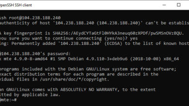 Comment utiliser le client OpenSSH de Windows 10 au lieu de PuTTY