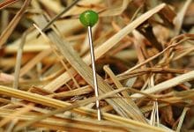 Comment trouver un mot spécifique dans un fichier sous Linux