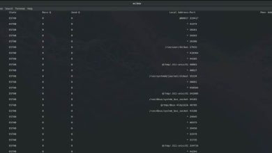 Comment utiliser la commande ss pour surveiller les connexions réseau sous Linux