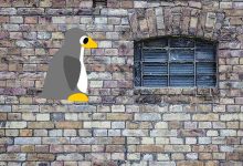 Linux vs Windows : un regard objectif sur les deux systèmes d'exploitation