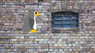 Linux vs Windows : un regard objectif sur les deux systèmes d'exploitation