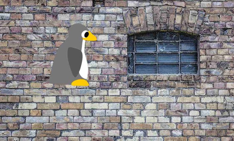 Linux vs Windows : un regard objectif sur les deux systèmes d'exploitation