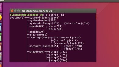 Le guide du débutant sur la commande pstree sous Linux