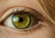 Comment utiliser le schéma de couleurs solarisé pour éviter la fatigue oculaire