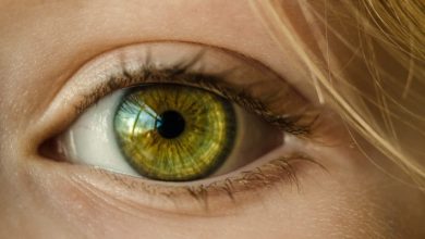 Comment utiliser le schéma de couleurs solarisé pour éviter la fatigue oculaire