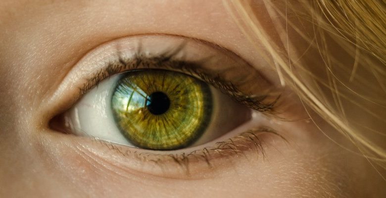 Comment utiliser le schéma de couleurs solarisé pour éviter la fatigue oculaire