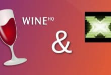 Installez Wine Gallium Nine sous Linux pour des performances de jeu quasi natives