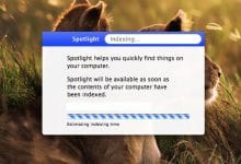 Comment copier les résultats de la recherche directement à partir de Spotlight sous OS X