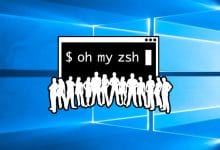Comment installer zsh et Oh My Zsh sous Windows 10