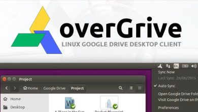 Installer et configurer Overgrive Google Drive Client sur Linux