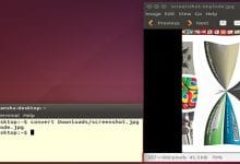 Convertir et optimiser des images à partir de la ligne de commande Linux