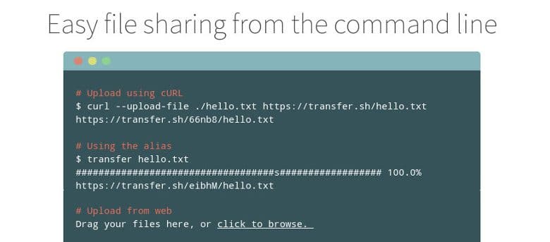 Transfert de gros fichiers dans un terminal sous Linux avec Transfer.sh