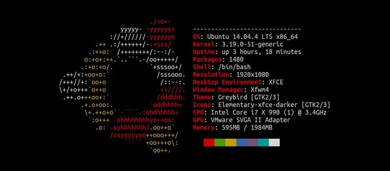 Comment afficher les informations système avec Neofetch sur Linux