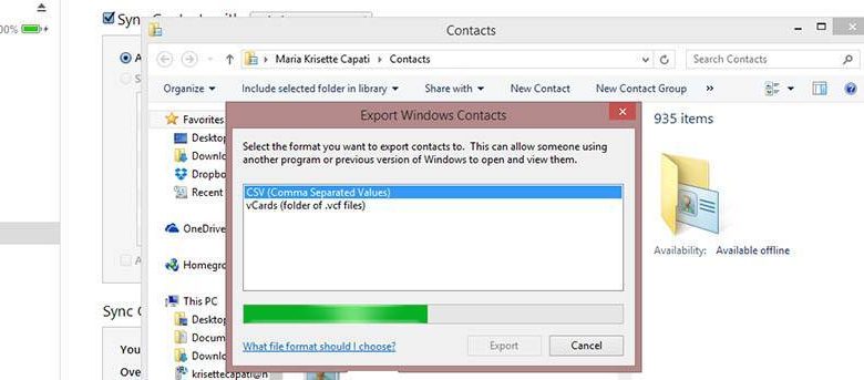 Comment exporter des contacts iPhone vers un fichier CSV sous Windows 8