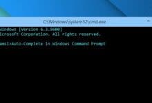 Activer la fonction de remplissage automatique dans l'invite de commande Windows