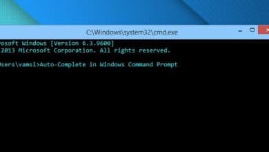 Activer la fonction de remplissage automatique dans l'invite de commande Windows