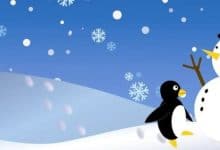 Comment accéder aux prévisions météorologiques à partir de la ligne de commande Linux