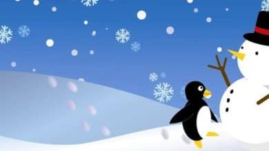 Comment accéder aux prévisions météorologiques à partir de la ligne de commande Linux