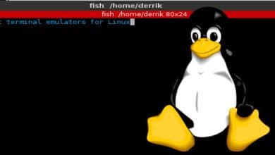 Les meilleurs émulateurs de terminaux pour Linux