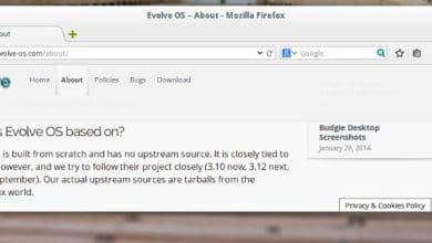 Premier aperçu d'Evolve OS avec Budgie Desktop