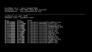 Que sont les fichiers DLL et comment fonctionnent-ils ?